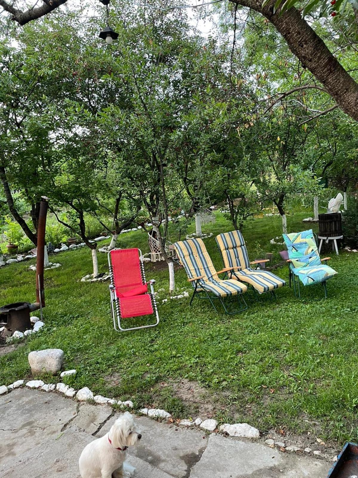 Casuta Fa Rai Din Ce Ai Hotel Buzau Bagian luar foto